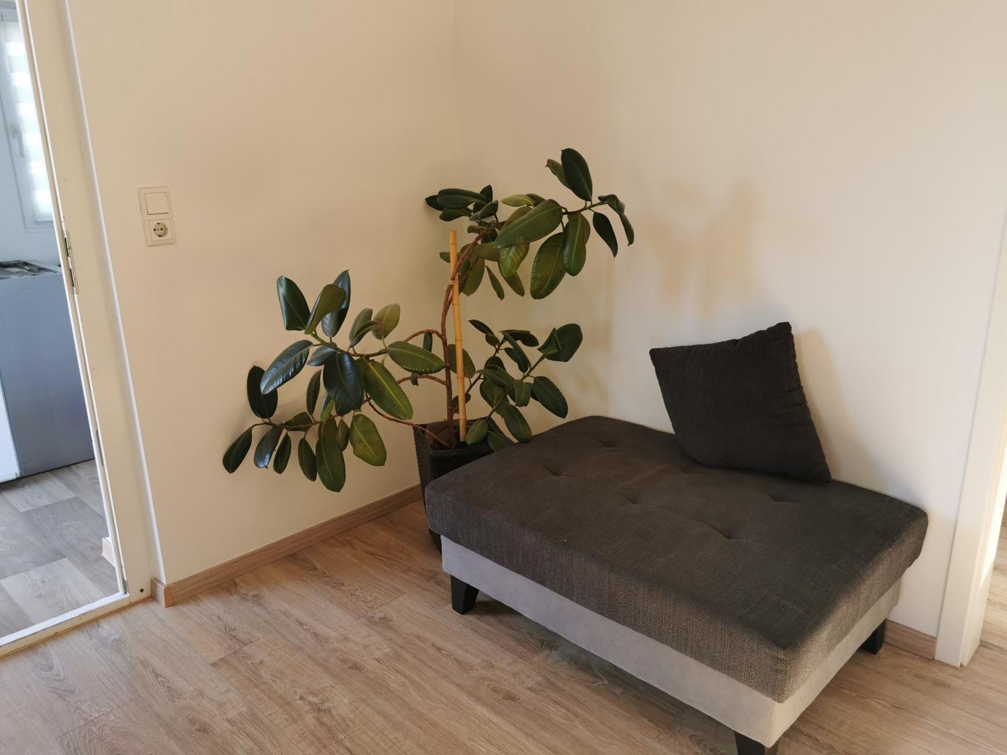 4-Zimmer-Wohnung Mit 6 Betten باد اوينهاوسن المظهر الخارجي الصورة